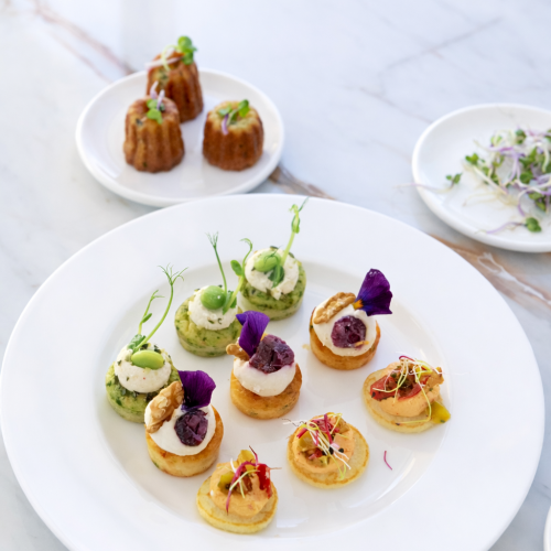 Hotel de Pourtales x cat&ring